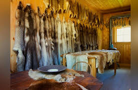 The American West: History, Myth, and Legacy: The Fur Trade and the Mountain Men