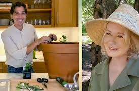 Martha Knows Best, Season 1: Vegetable Garden