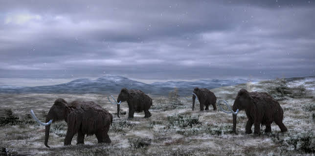 9:00 PM: - | Discovery Science | 12/5 2025