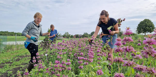 02:00: Die Nordreportage: Solidarische Landwirtschaft | 3SAT | 12/12 2025