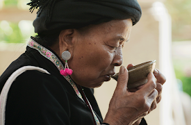 One Cup, A Thousand Stories: Tea for the Soul