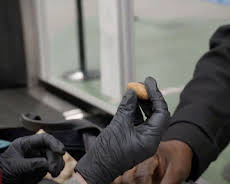 Border Patrol Australia