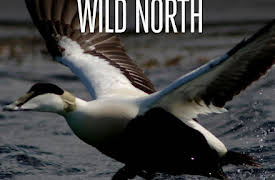 Wild North: The Coast