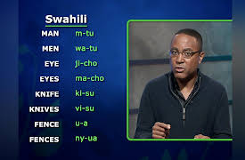 Language Families of the World: Niger-Congo: The Biggest Family in Africa I