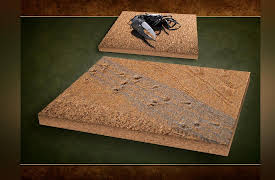 Introduction to Paleontology: How Do You Fossilize Behavior?