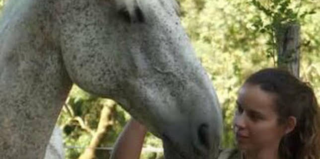 22:45: Somos animais | TV Galicia | 2/19 2026