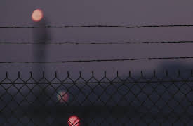 American Cartel: The Devil Next Door