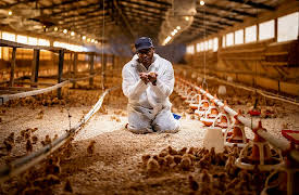 Human Footprint, Season 1: The Replacements