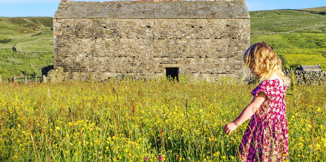 3:00 PM: Our Yorkshire Farm (S1 E3) (S1) | Channel 5 | 1/17 2026