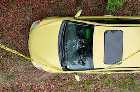 Murdaugh Murders: A Southern Scandal: No Secrets Are Safe