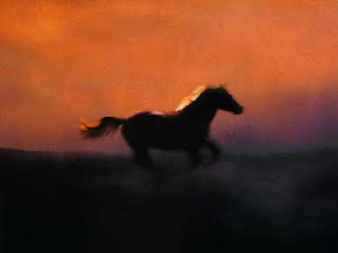 20:15: Der Pferdeflüsterer | Sat1 Gold | 4/4 2026