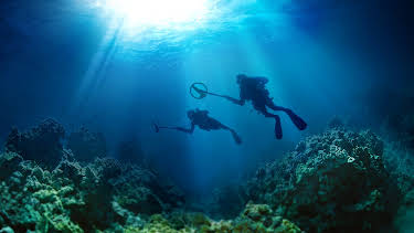 3:00 PM: Cooper's Treasure (S1 E3) (S1) | Discovery Science | 12/19 2025