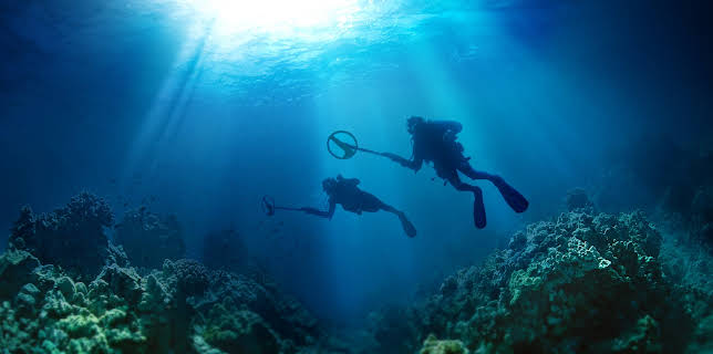 1:00 PM: Cooper's Treasure (S2 E5) (S2) | Discovery Science | 10/30 2025