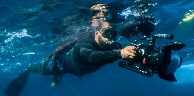 8:00 AM: Hamza's Hidden Wild Isles (S1) | BBC Two | 12/9 2025