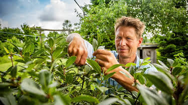 16:00: Rasch durch den Garten | Radio Bremen | 6/27 2026