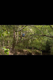 05:50: Superviviente por naturaleza: Los ríos de la vida | Nat Geo Wild | 2/4 2026