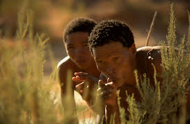 Wildest Africa: Okavango Water in the Desert