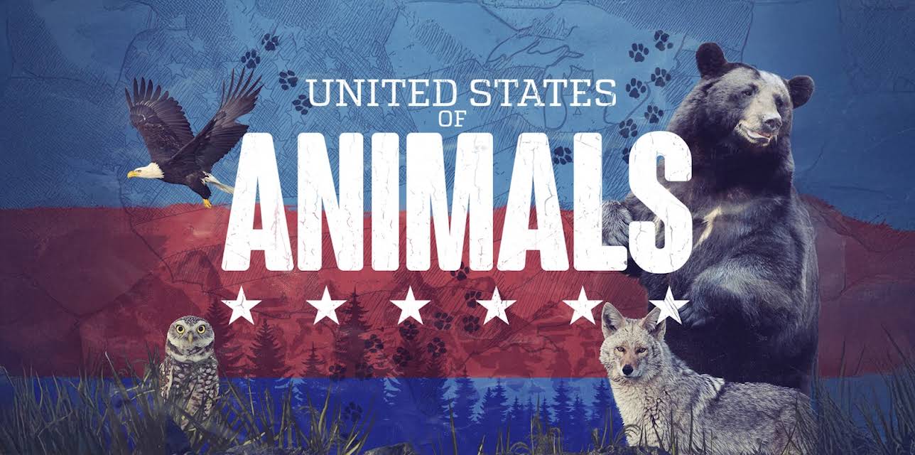 United States of Animals Season 1