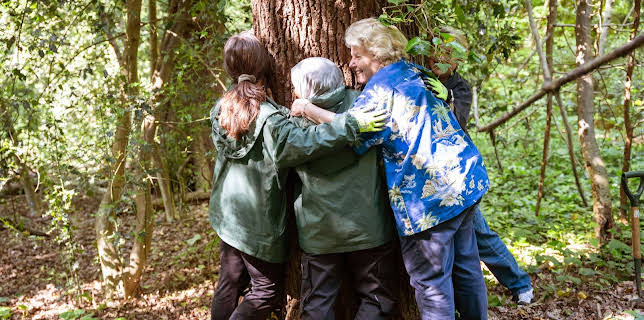 4:40 PM: Sandi's Great British Woodland... | Channel 4 | 2/28 2026