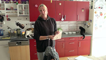 16:00: Hartz und herzlich - Tag für Tag Benz-Baracken | RTL 2 | 1/22 2026