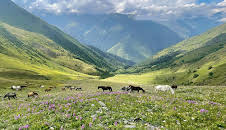 Georgiens wilde Schönheit