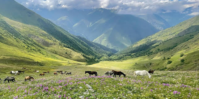 10:30: Länder - Menschen - Abenteuer | ARD Alpha | 11/16 2025