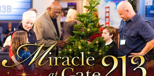 Miracle at Gate 213 (2013)