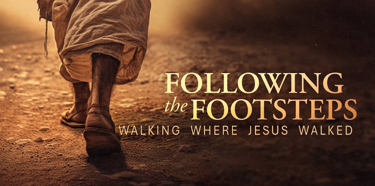 Following the Footsteps (2024)