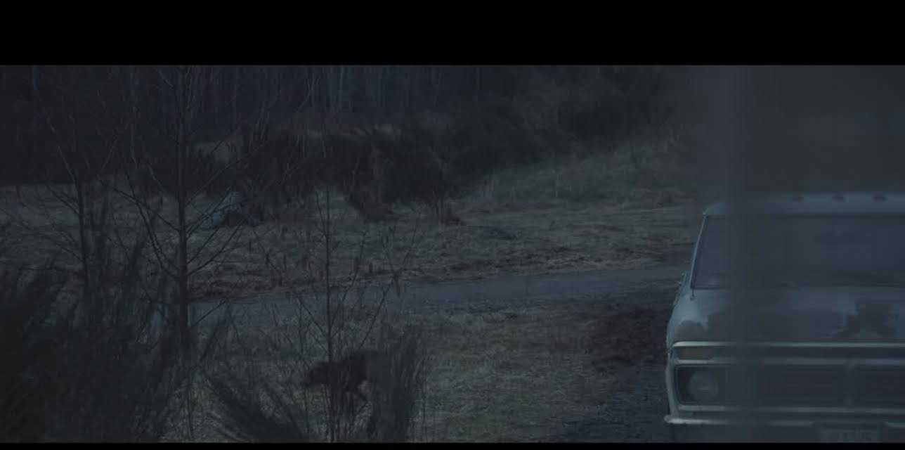 A Single Shot (2013)