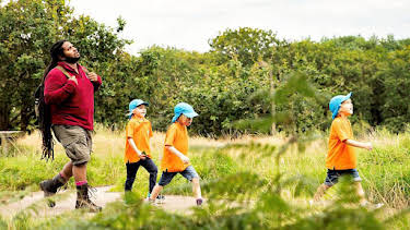 10:55 AM: Let's Go for a Walk (S2) | Cbeebies | 9/14 2026