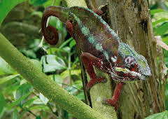 Documental Lugares Extraordinarios Del Mundo