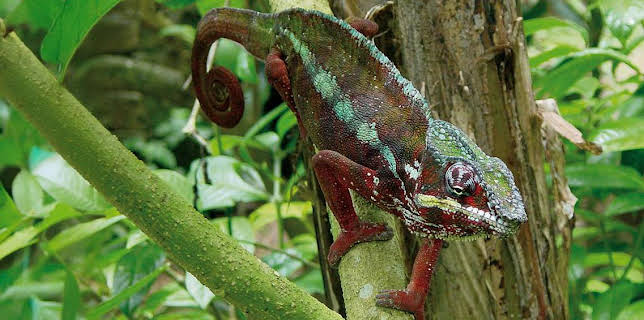 17:10: Documental Lugares Extraordinarios Del Mundo | LA 2 | 10/30 2025