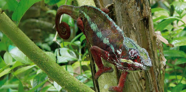 Documental Lugares Extraordinarios Del Mundo