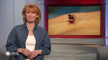 21:00: Visite | HR Fernsehen | 6/11 2026