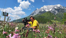 Geheimnisvolle Wiesenwelt