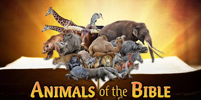 Animals Of The Bible (2026)
