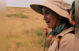 Mygrations Season Season 1: Lion's Den