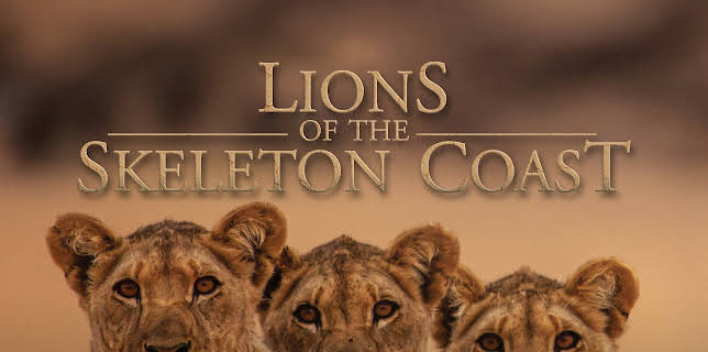 Lions of the Skeleton Coast (2024)
