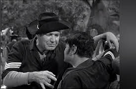 F-Troop: The Complete First Season: The Courtship of Wrangler Jane