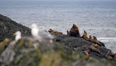 Kanadas Nationalparks (1/5)