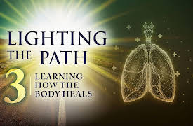 Lighting the Path: Learning How the Body Heals