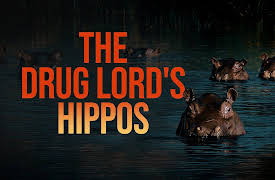 The Drug Lord's Hippos Season 1: The Drug Lord's Hippos