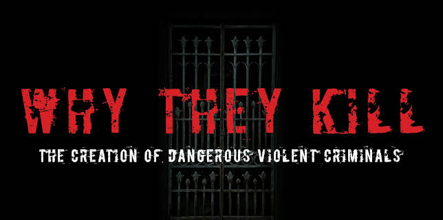 Why They Kill (2017)