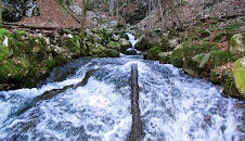 Pielach - Im Garten der Voralpen