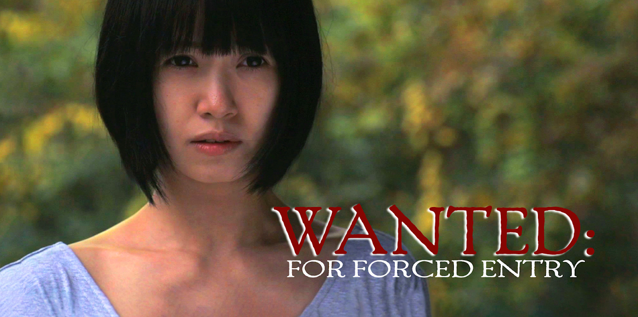 Wanted: For Forced Entry (2016)