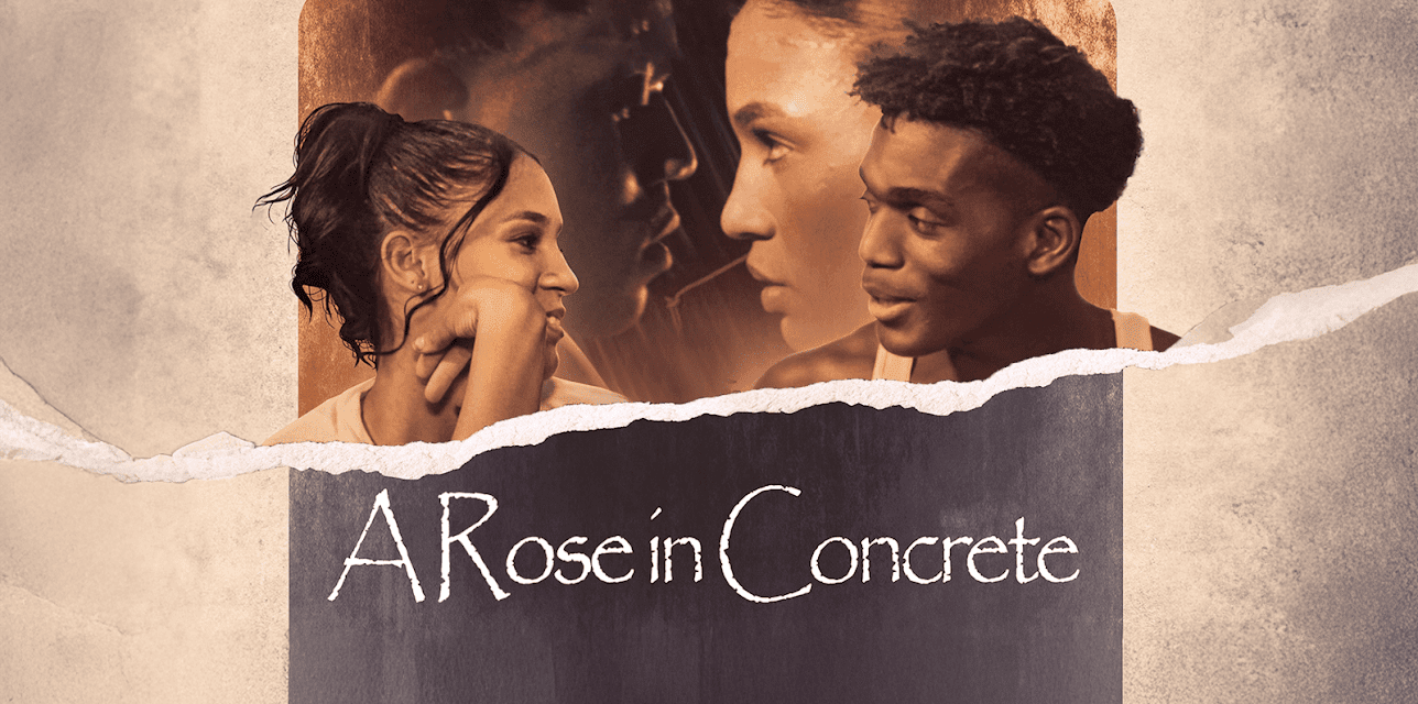 A Rose in Concrete (2024)