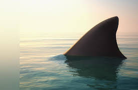 Screenwriting 101: Mastering the Art of Story: Suspense and Relief: Jaws