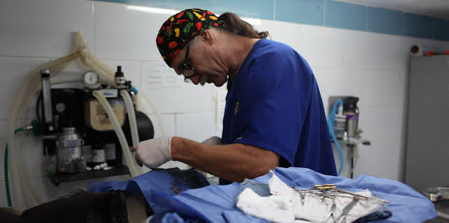 18:00: Dyrlegen i Rocky Mountain (S2 E10) (S2) | Animal Planet | 12/29 2025