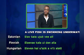 Language Families of the World: Is the Indo-European Family Alone in Europe?