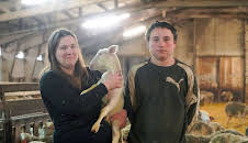 Re: Junge Franzosen übernehmen alte Höfe